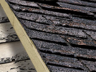 Adams Roofing Images