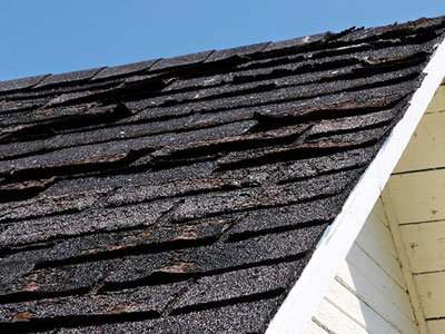 Adams Roofing Images